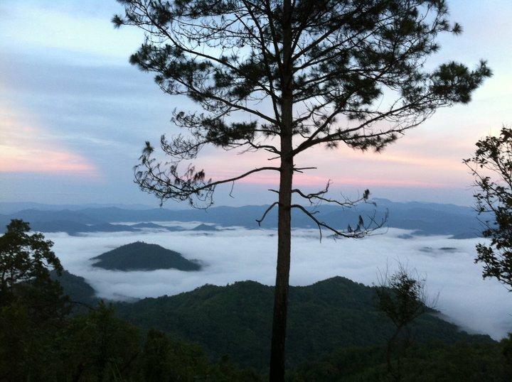 Phu Mork Dao Resort Pong Yaeng Exteriör bild